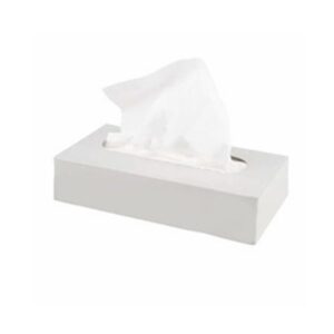 Tissues, 2 Ply, White, Box 200