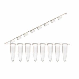 PCR